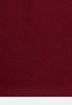 Friboo 5 Pack - Longsleeve - Multi-Coloured/Black/Dark Red -Friboo c10082c6bbfb409a8241256d9ad1cede